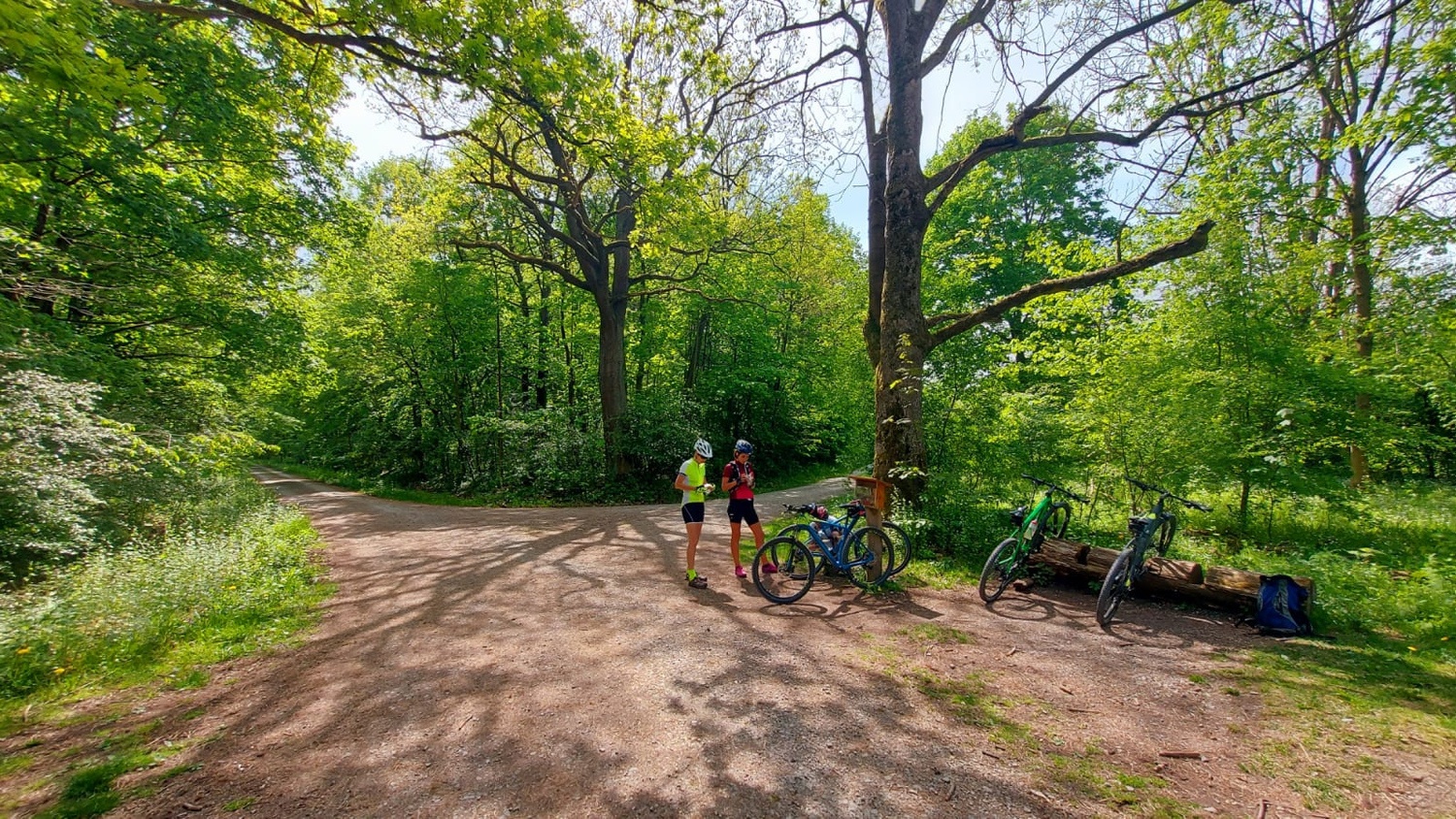 Radfahrer im Nationalpark Hainich