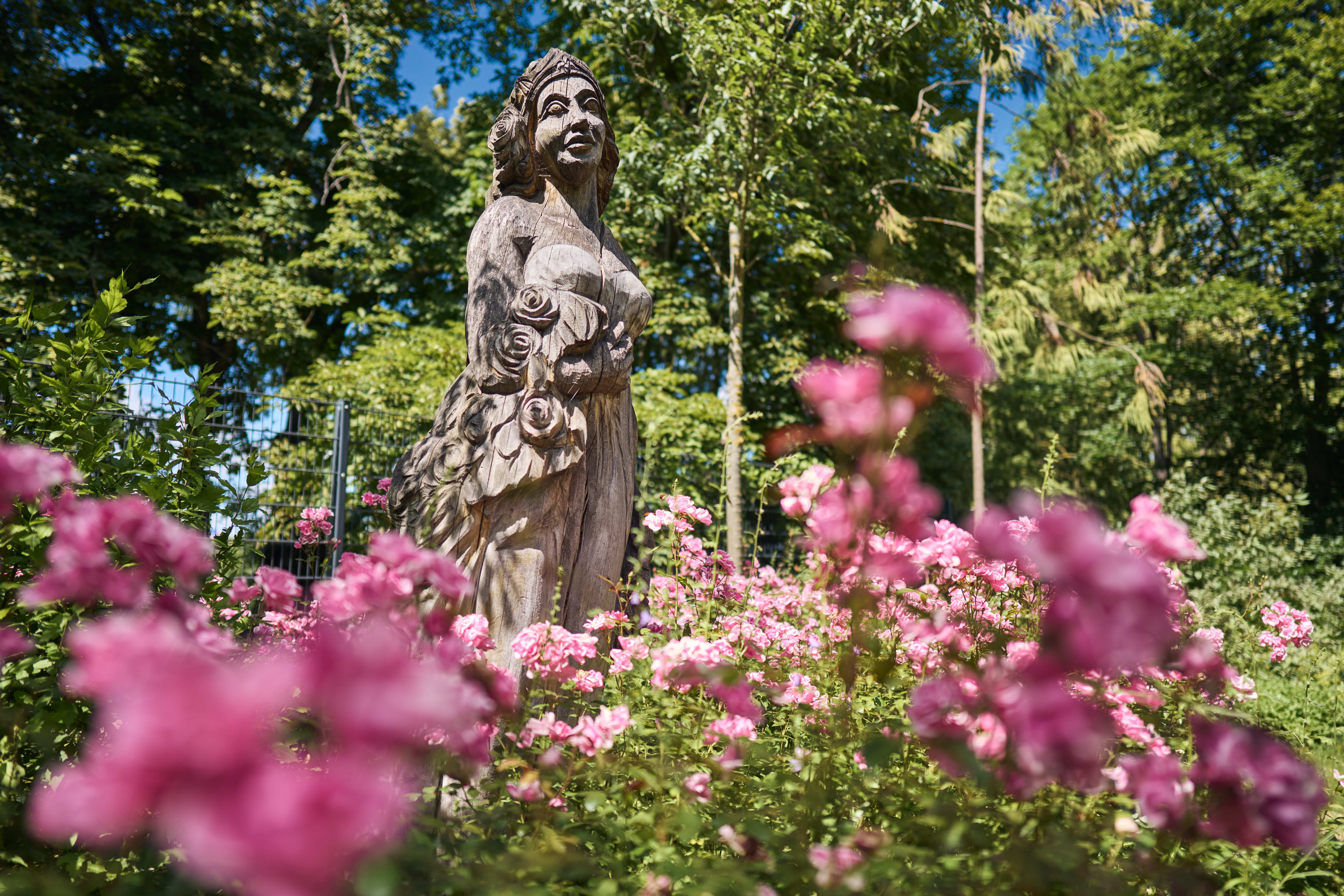 Blüten im Arboretum im Nationalpark Hainich